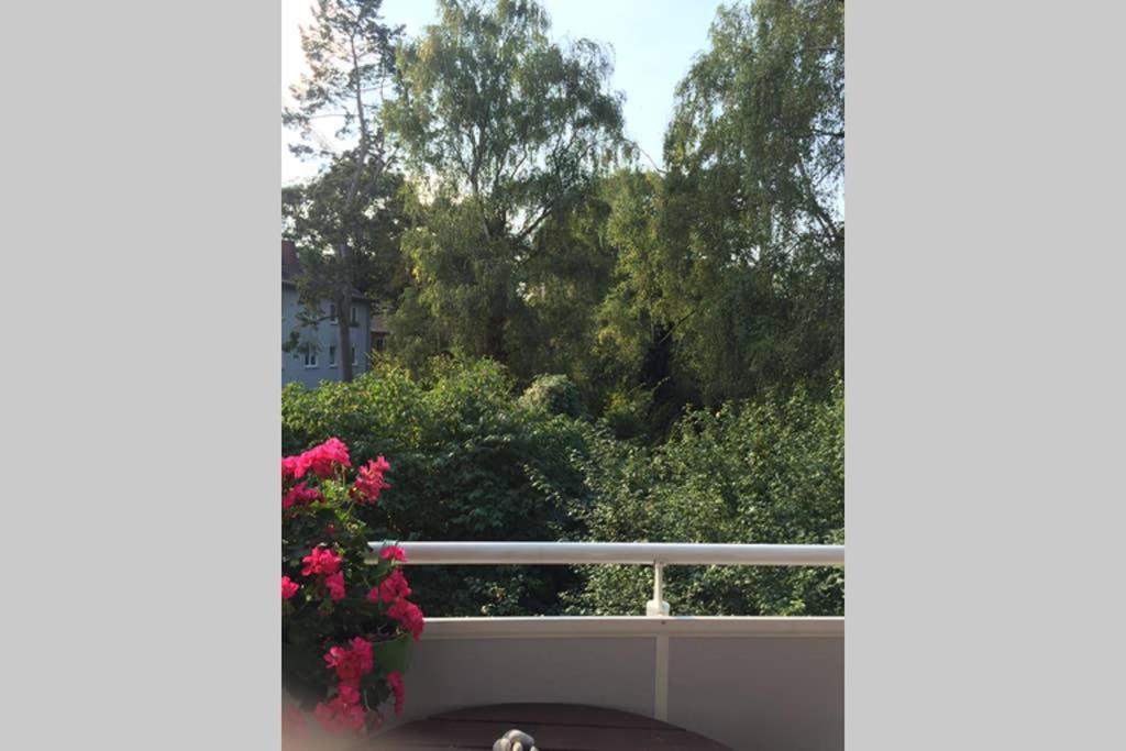 Bahnhofsnahe, Ruhige Und Sonnige 2 Zimmerwohnung Im Dichterviertel Βιζμπάντεν Εξωτερικό φωτογραφία